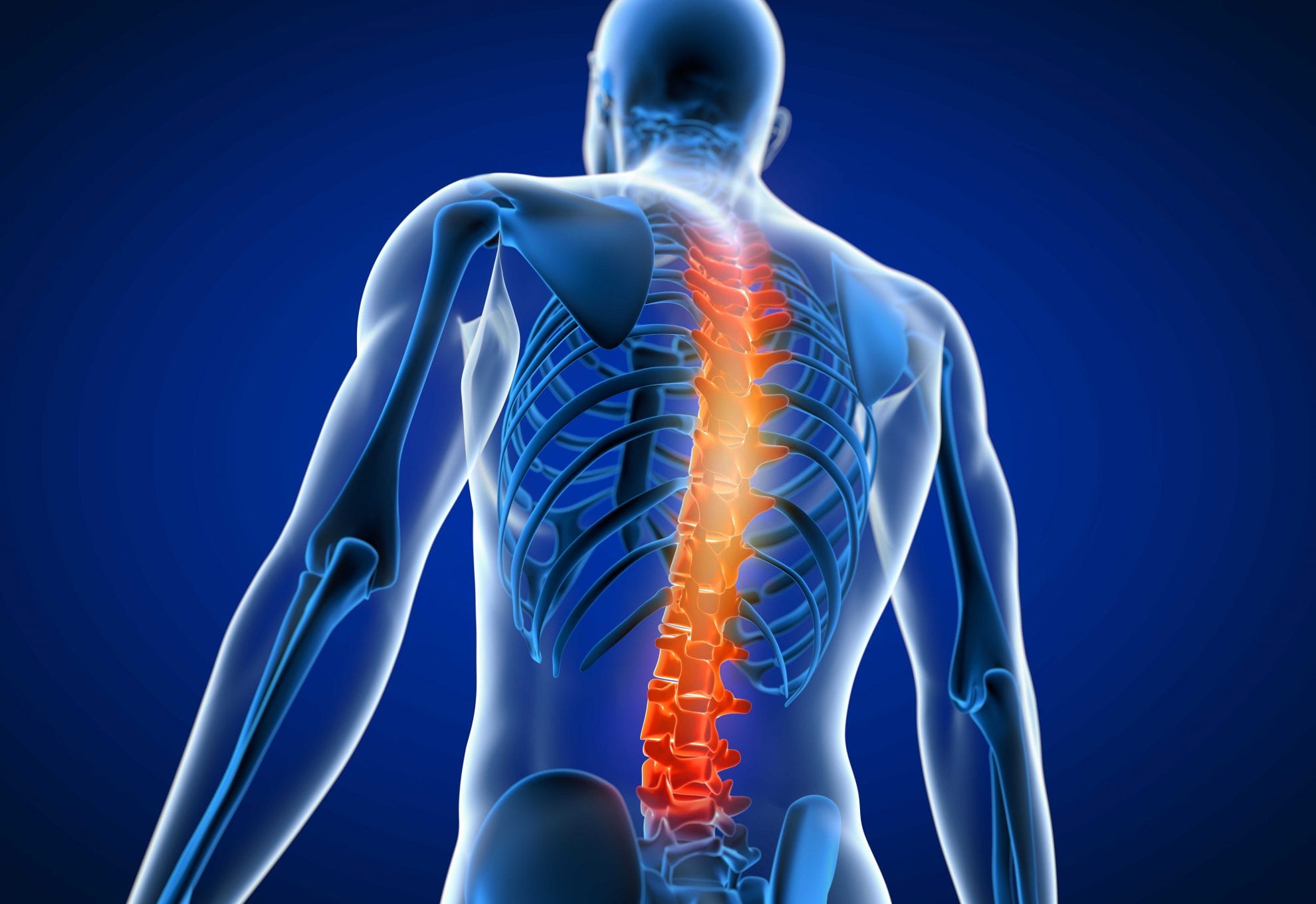 Orthopaedics